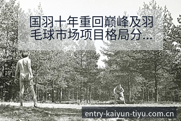国羽十年重回巅峰及羽毛球市场项目格局分析数据对比 - 开云